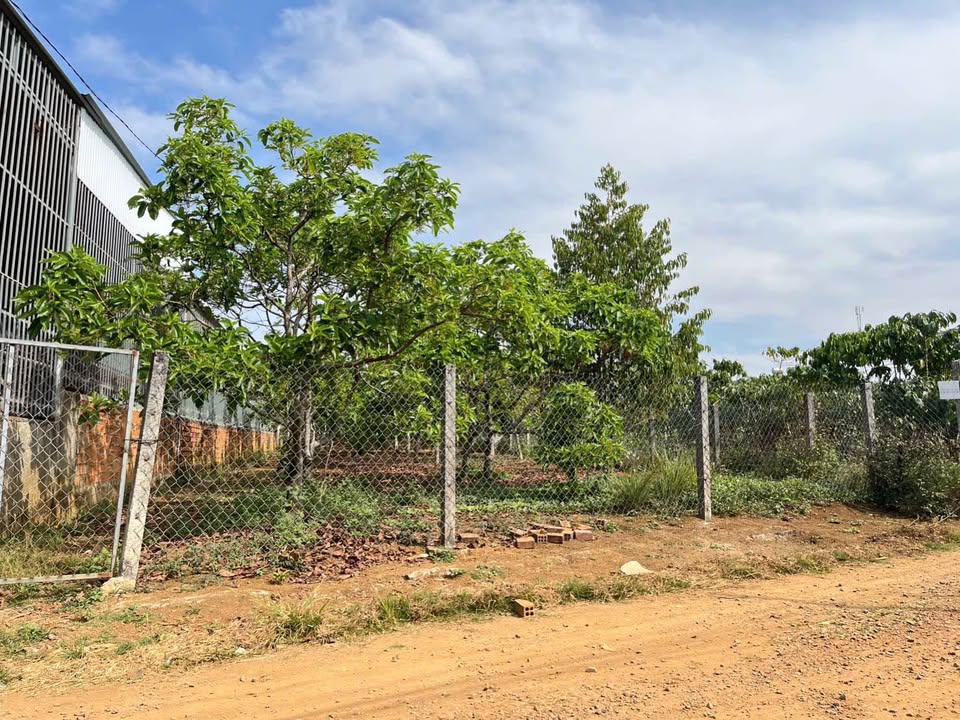 Đất nền 1 sào hẻm 177 Nguyễn Đình Chiểu, Lộc Phát 3.8 tỷ - Pháp lý rõ ràng sẵn sàng công chứng ngay!