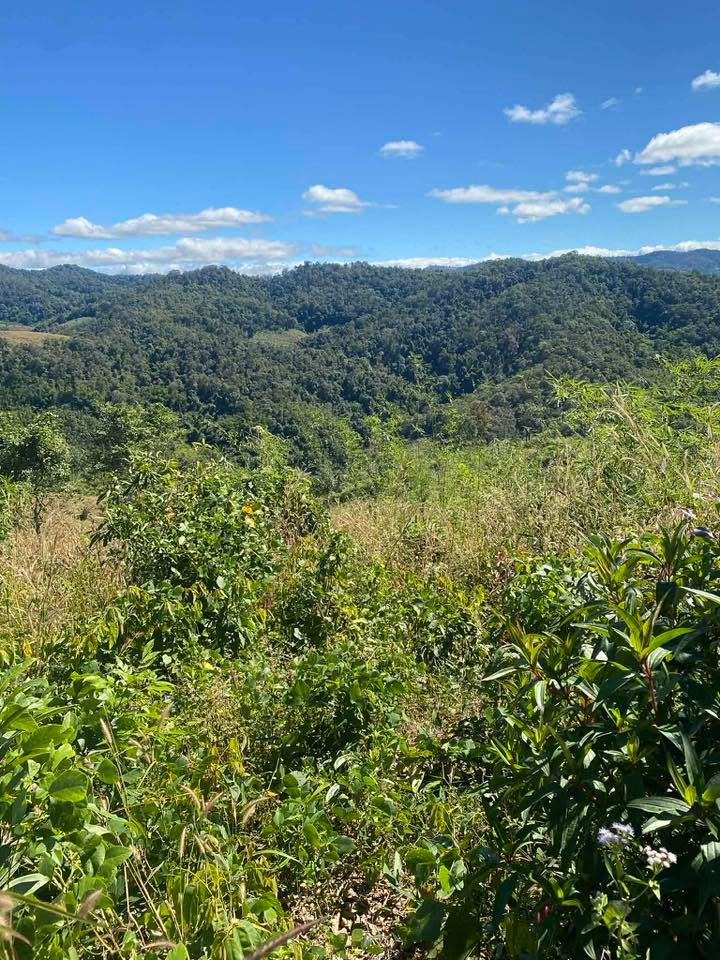 Đất nông nghiệp 40,000m² tại Đăk Long, Đắk Hà, Kon Tum - Giá thương lượng hấp dẫn!