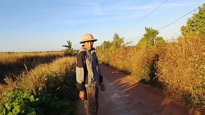 Đất nông nghiệp 1,7ha tại Ia Vê, Chư Prông, Gia Lai - Đầu tư Sầu riêng sinh lời!