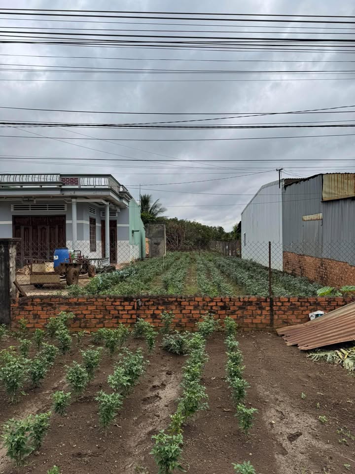 Đất mặt tiền Quốc lộ 26, huyện Krông Pắc 522m² giá 4.1 tỷ - Đầu tư sinh lời tốt!