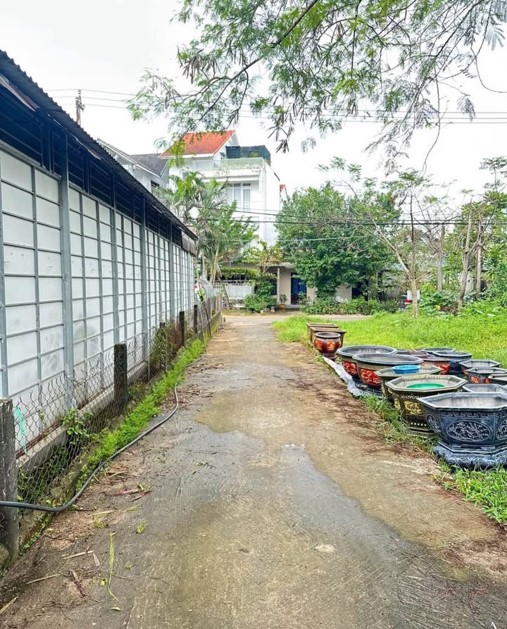 Đất Kiệt Ô Tô Trần Thái Tông, Thủy Xuân 171m² giá 2.5 tỷ - Đầu tư sinh lời ngay!