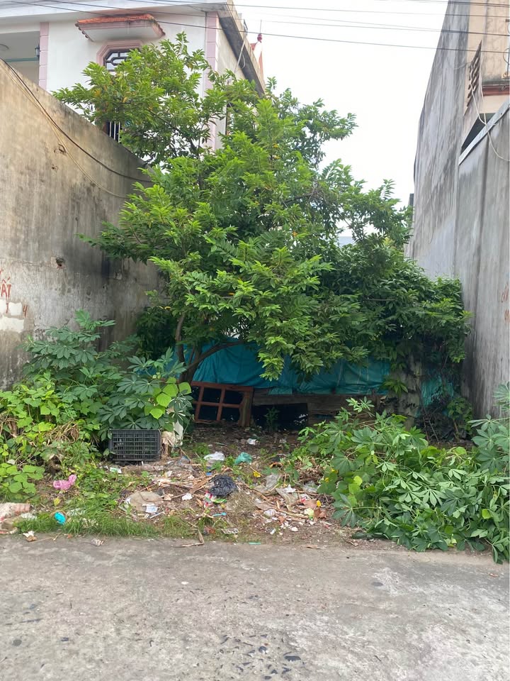 Đất nền đẹp tại Phú Xá, Tân Trường, Cẩm Giàng - Giá chỉ 2 tỷ