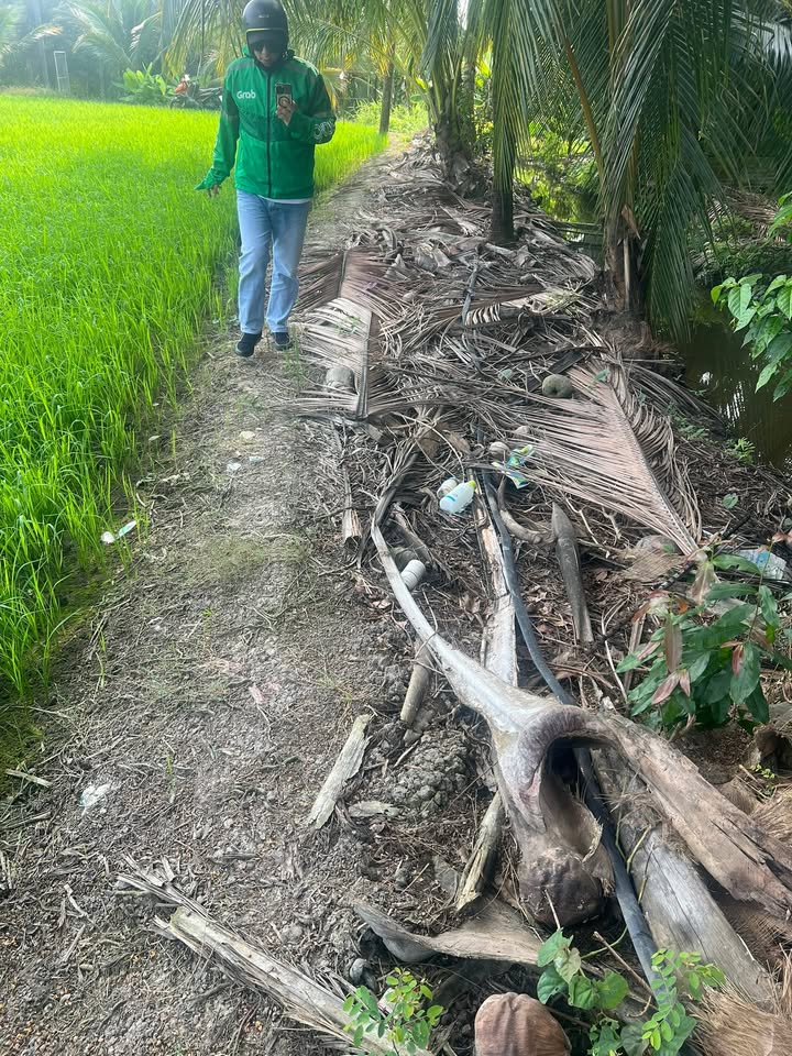 Đất nền Phường Khánh Hậu, Tân An, Long An 3345m² giá chỉ 1.839 tỷ - Cơ hội đầu tư hấp dẫn!