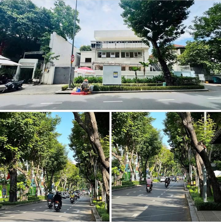 Townhouse 50 Trương Định, Quận 3, 816m² - Rẻ hơn thị trường 30%!