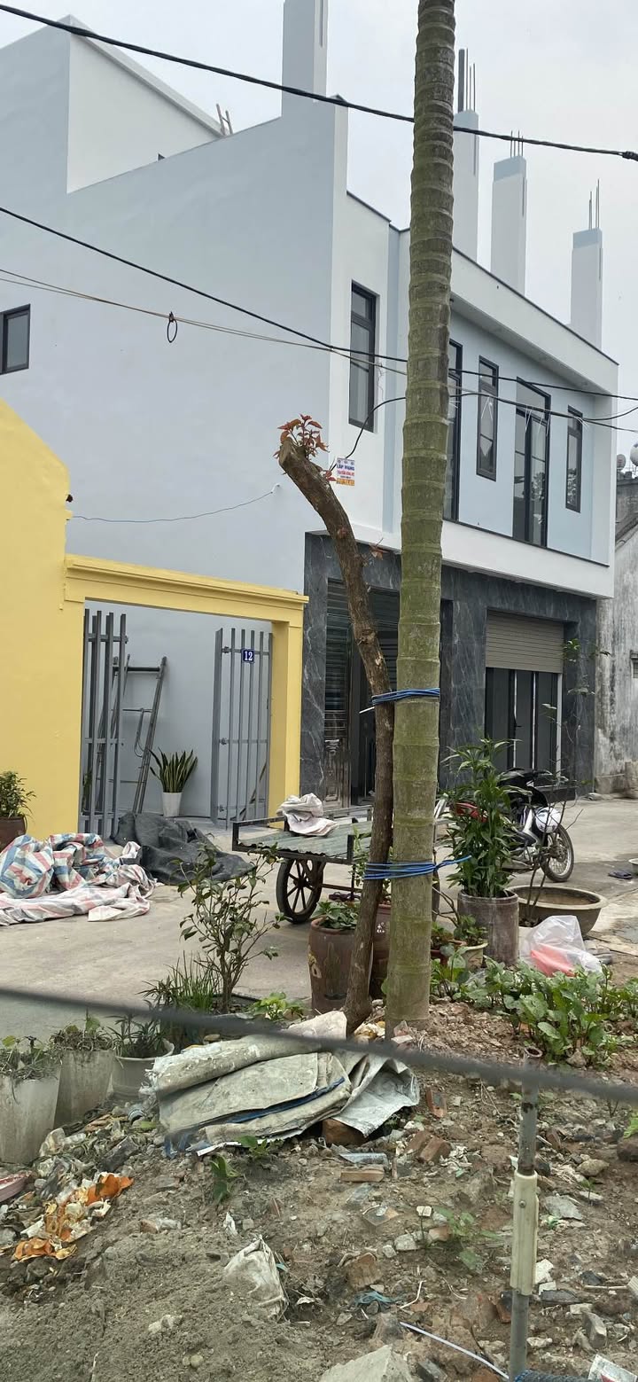 Đất Ngọc Thụy, Quận Long Biên 39m² giá 6 tỷ - Cơ hội đầu tư tốt!