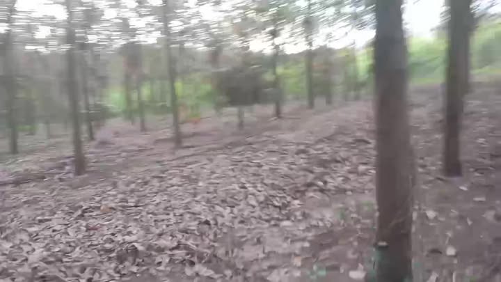 Đất nông nghiệp 2.5ha tại Xã An Sơn, Bình Dương giá 4 tỷ - Đầu tư sinh lời ngay!