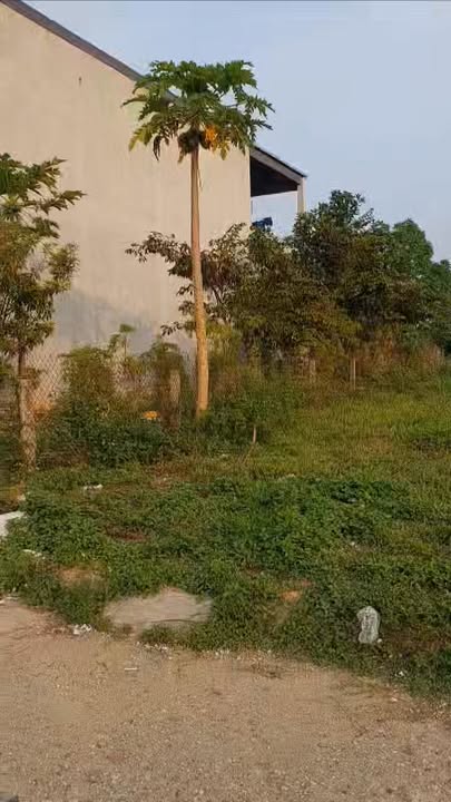 Đất nền KCN Phú Hà 200m² giá 2 tỷ - Đầu tư sinh lời hấp dẫn!