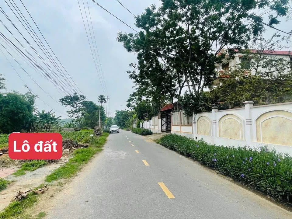 Đất thổ cư Tam Quan - Tam Đảo 124m² giá 1.4 tỷ - Kinh doanh thuận lợi!