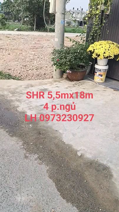 Nhà mặt tiền xã Bình Mỹ, Huyện Củ Chi 99m² giá 3.6 tỷ - Sẵn sàng ở ngay!