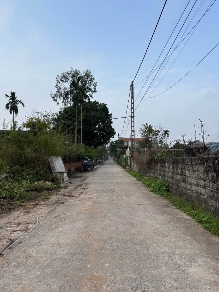 Đất nền Phú Xuyên 80m² giá chỉ 3 tỷ - Tiềm năng sinh lời bền vững!