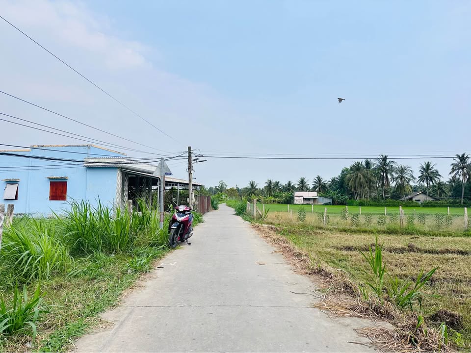 Đất thổ cư 137m² đường xe 7 chỗ - Giá chỉ 290 triệu VND!