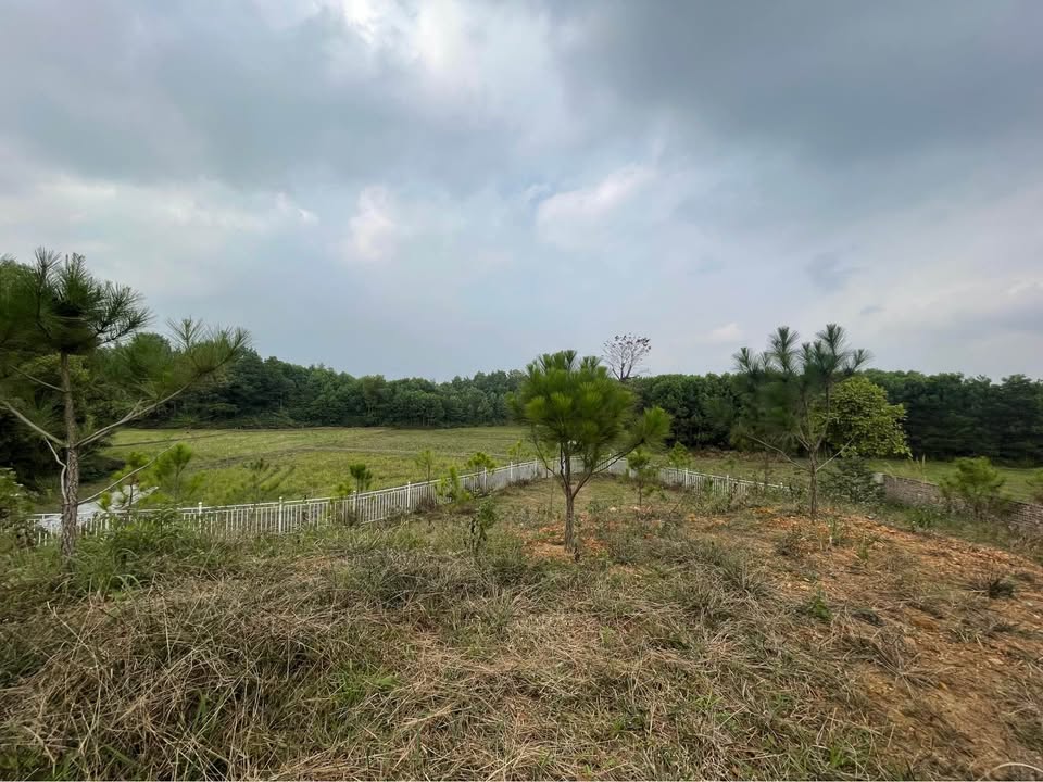 Đất nghỉ dưỡng Phúc Xuân, Sóc Sơn 1000m² - View cánh đồng xanh mát!