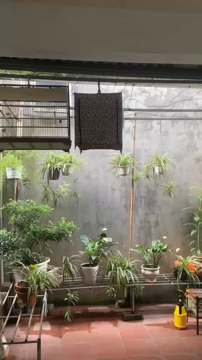 Căn hộ tập thể tại Đại Mỗ 100m² giá 3 tỷ - Sổ đỏ chính chủ sẵn giao dịch!