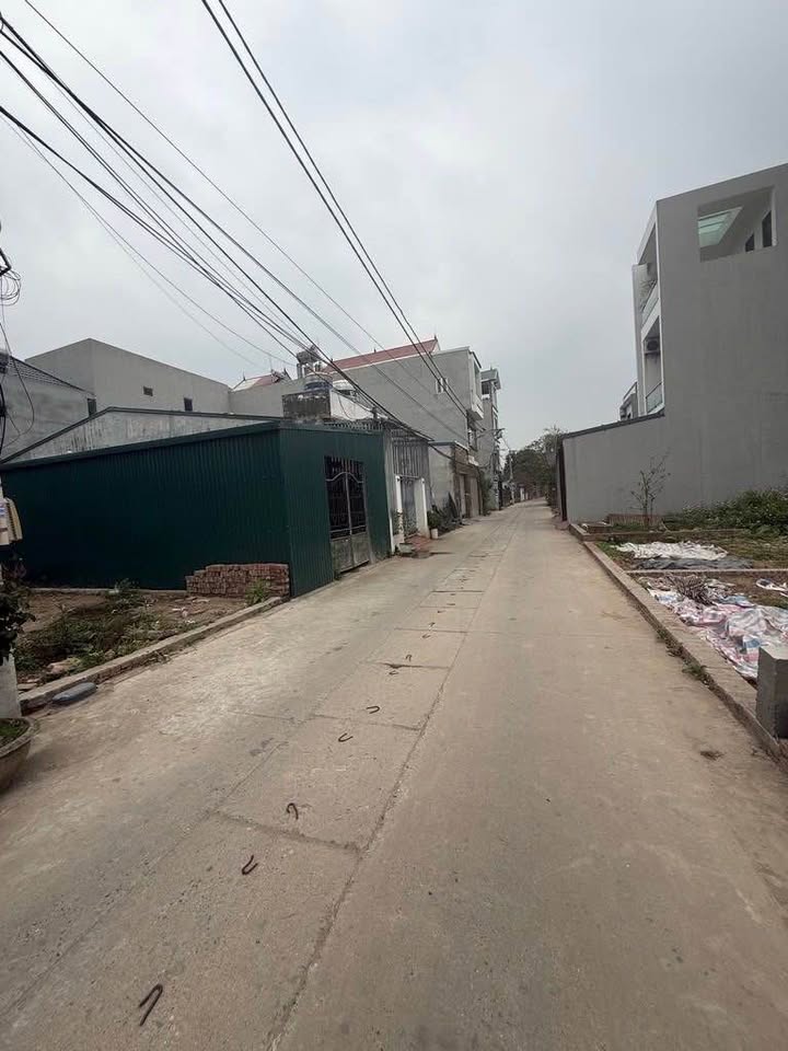 Đất thổ cư 64m² tại ấp Tre, Đông Anh, Hà Nội chỉ 4 tỷ - Vị trí đắc địa!