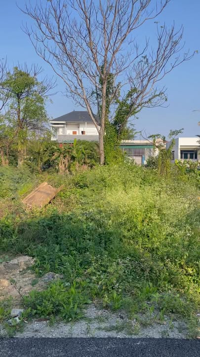 Đất thổ cư Thị trấn Tiên Điền 100m² giá 1.4 tỷ - Vị trí tiềm năng ngay gần chợ