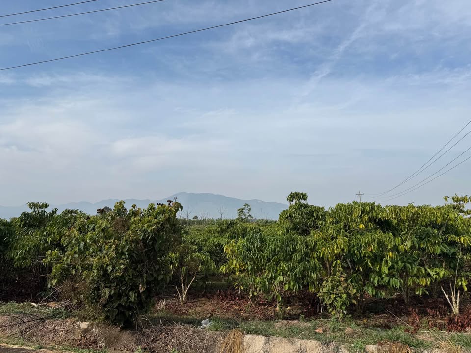 Đất 2 mặt tiền đường Nguyễn Khắc Nhu, Bảo Lộc 443m² giá 2.2 tỷ - Đầu tư lý tưởng!