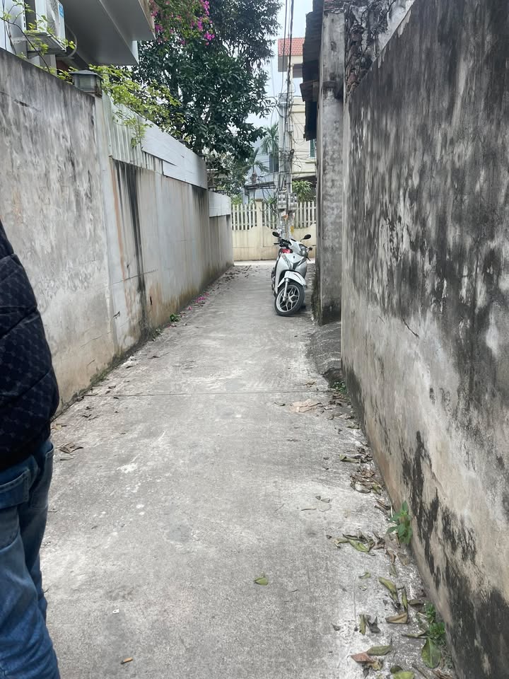 Đất nền xã Nguyễn Trãi, huyện Thường Tín, 60m² giá 3 tỷ - Đường ô tô đỗ cửa!