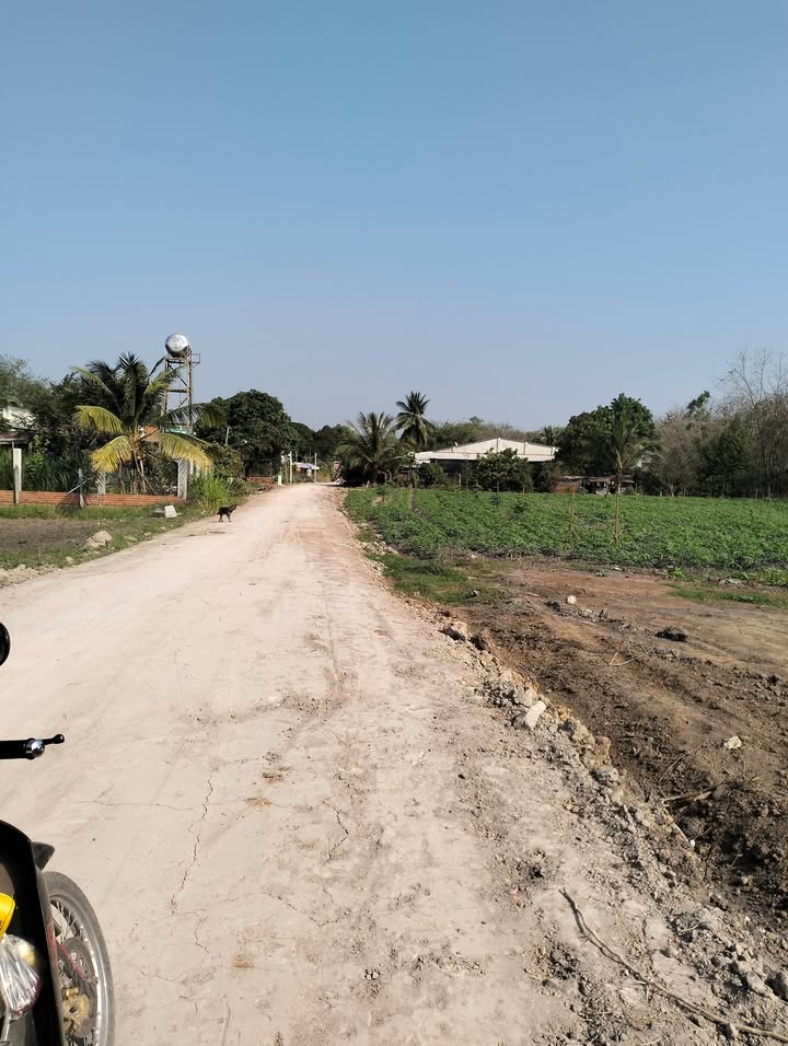 Đất nền 200m² Xã Thạnh Đông, Huyện Tân Châu - Cơ hội đầu tư sinh lời!