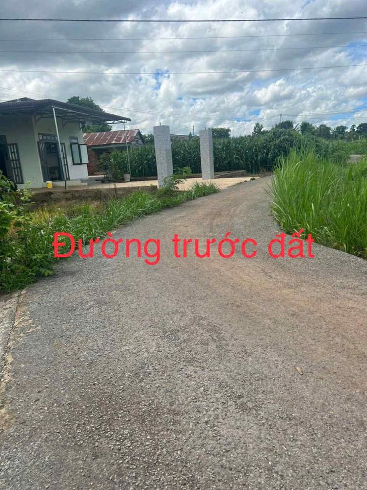 Đất nền Quảng Hiệp, Cư M'gar 70m² chỉ 800 triệu - Vị trí đẹp, tiềm năng phát triển!