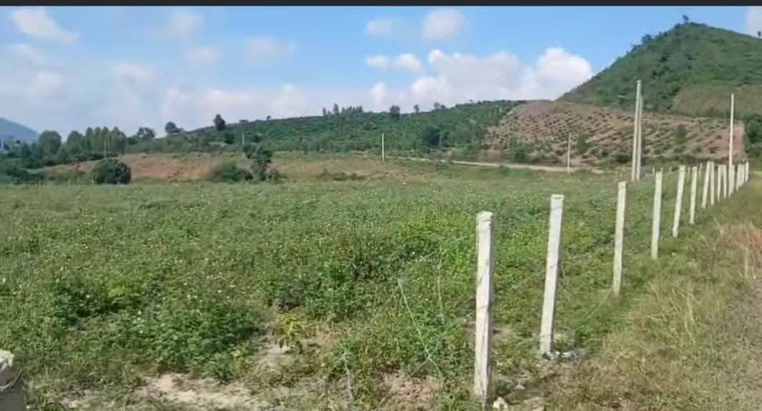 Đất nông nghiệp Cư Pui 3240m² giá 1.1 tỷ - Đầu tư lý tưởng với hồ câu đẹp!