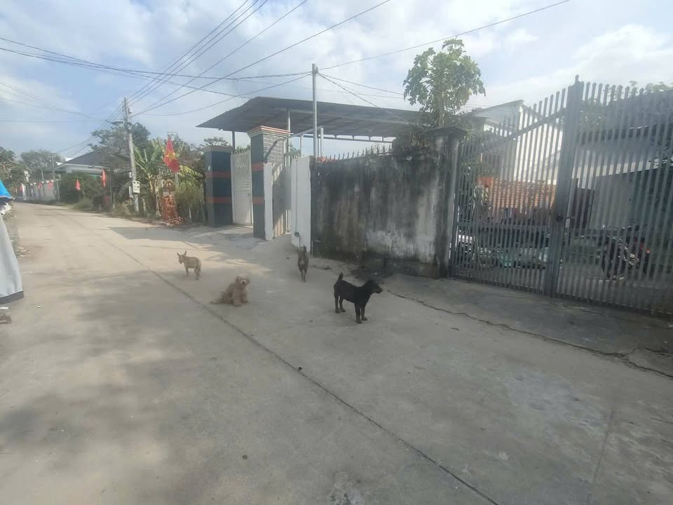 Đất nền Phú Giáo 307m² giá 1.05 tỷ - Đối diện chợ An Linh!