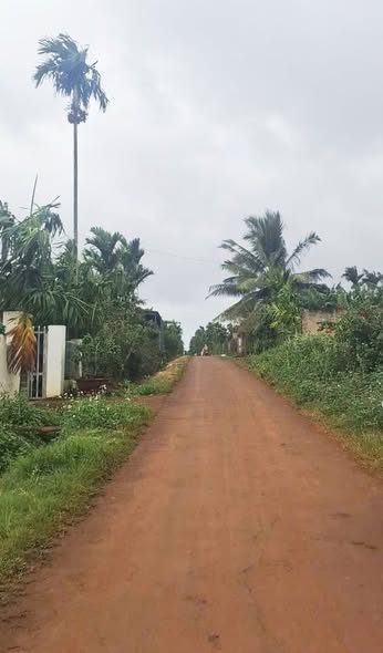 Đất mặt tiền đường Nhựa xã Ea Drong, Đăk Lăk 900m² giá 1.439 tỷ - Cơ hội đầu tư lý tưởng!