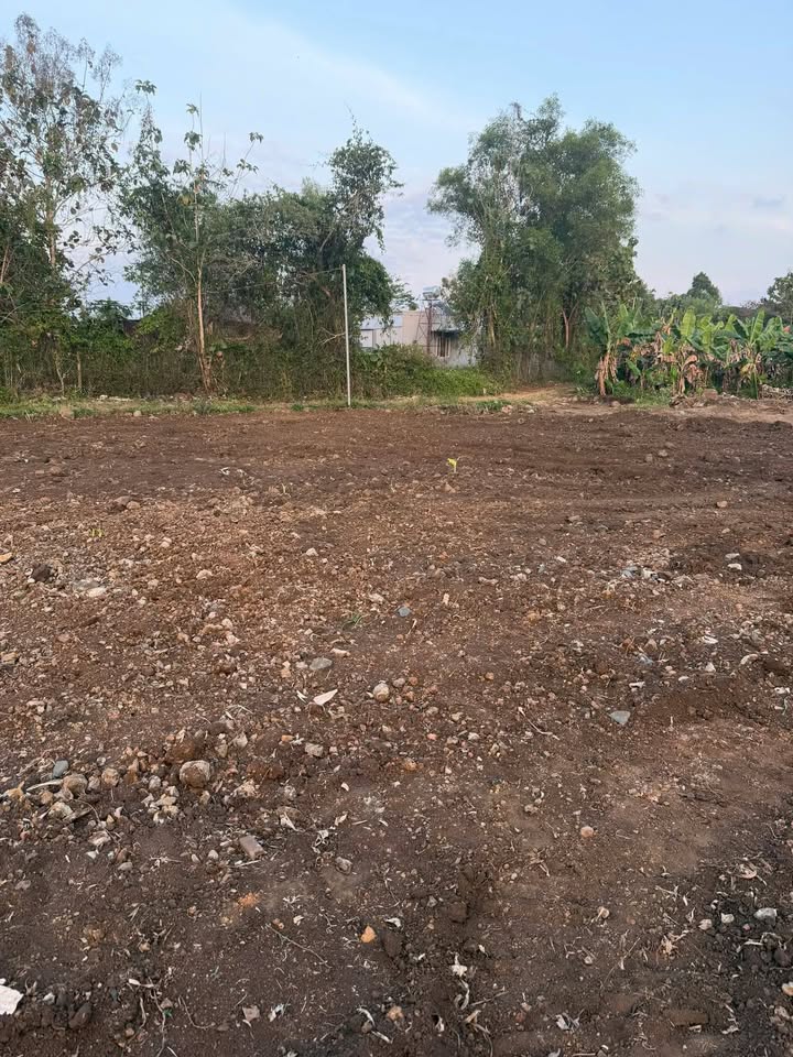 Đất nền mặt tiền đường Đá Mi, xã Ngọc Định, 3600m² giá 420 triệu - Đầu tư sinh lời ngay!