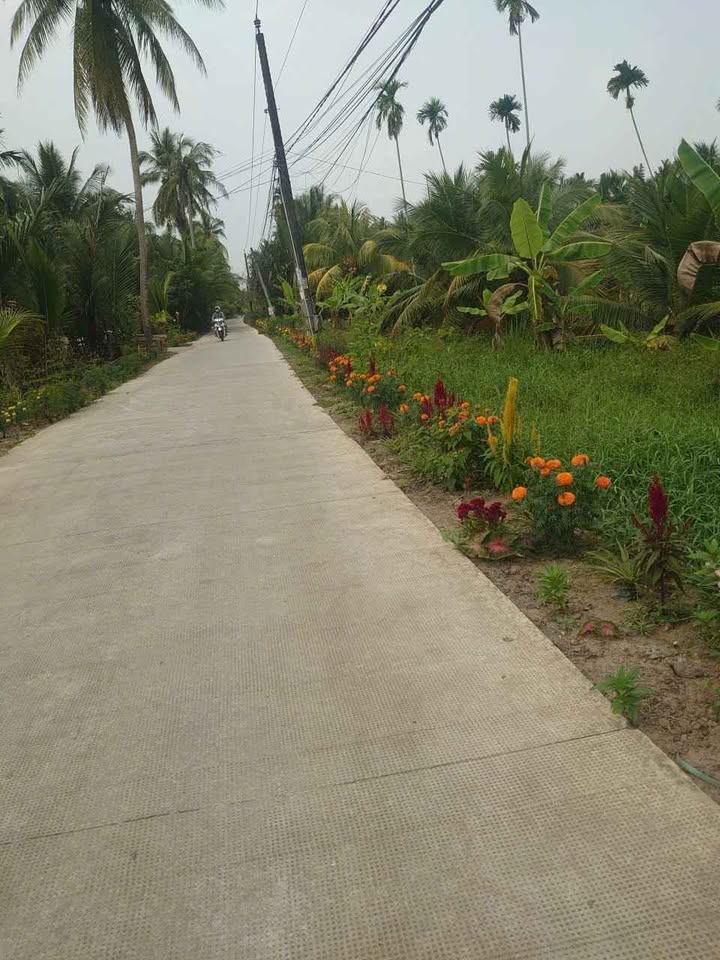 Đất nền Lương Hòa, Giồng Trôm 719m² giá 1 tỷ - Đường rộng, tiện ích đầy đủ!