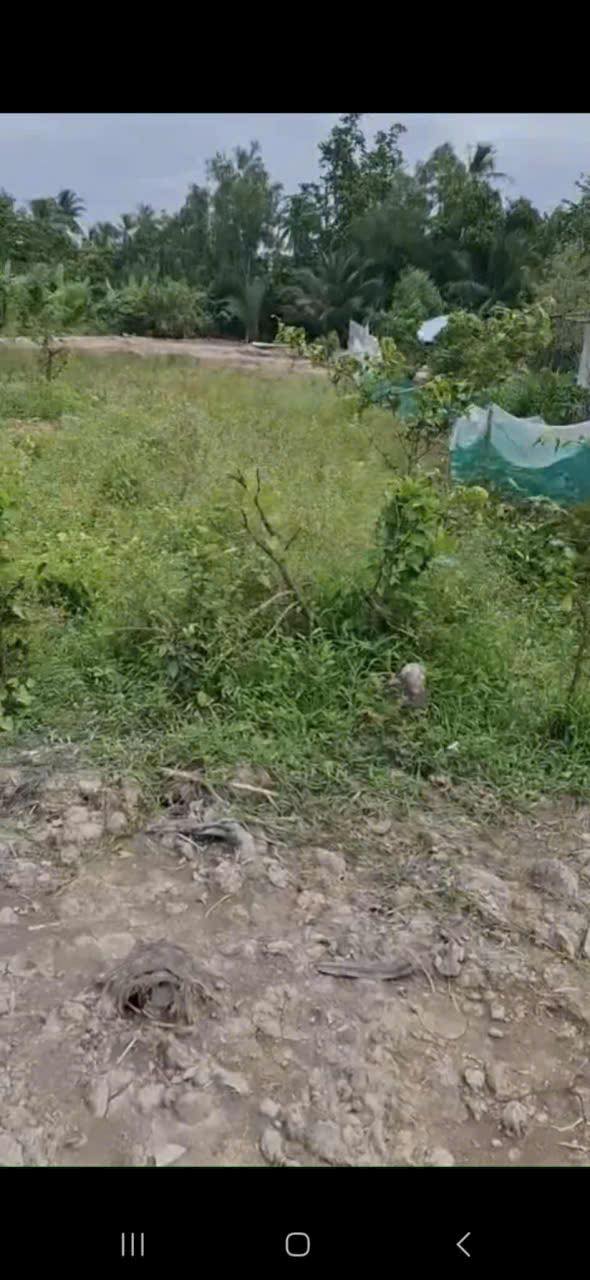 Đất nền xã Phú Mỹ, huyện Mỏ Cày Bắc, 1700m² giá 1.7 tỷ - Đầu tư sinh lời hấp dẫn!