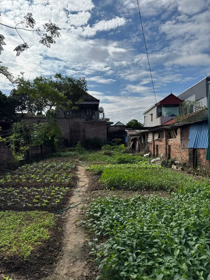 Đất nền 250m² tại Minh Trí, Sóc Sơn - Cơ hội đầu tư hấp dẫn!