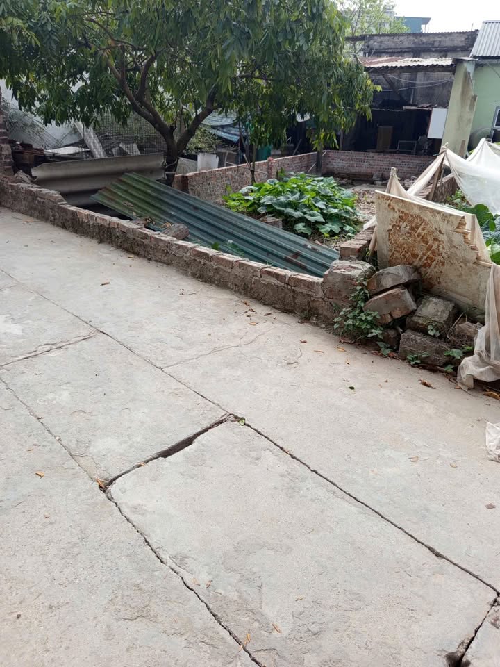 Đất Lạc Thị, Thanh Trì 50m² giá 5 tỷ - Sổ đỏ chính chủ!