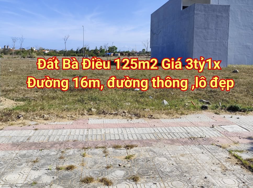 Bán lô đất 125m² đường 16m, Phường Phú Đông - Giá chỉ 3.1 tỷ, Sổ hồng chính chủ!