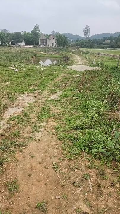 Đất nền đẹp tại Xã Trung Giã, Huyện Sóc Sơn, Hà Nội - 4195m² giá 14.68 tỷ - Phù hợp xây nhà xưởng hoặc nghỉ dưỡng!