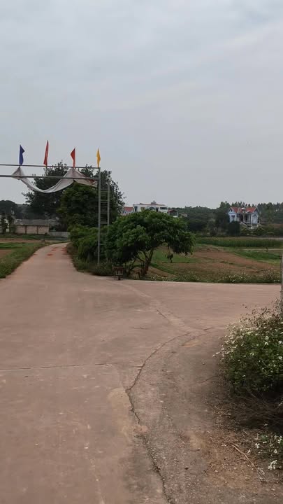 Đất nền Nghĩa Hưng, Lạng Giang 150m² giá 500 triệu - Cơ hội đầu tư tuyệt vời!