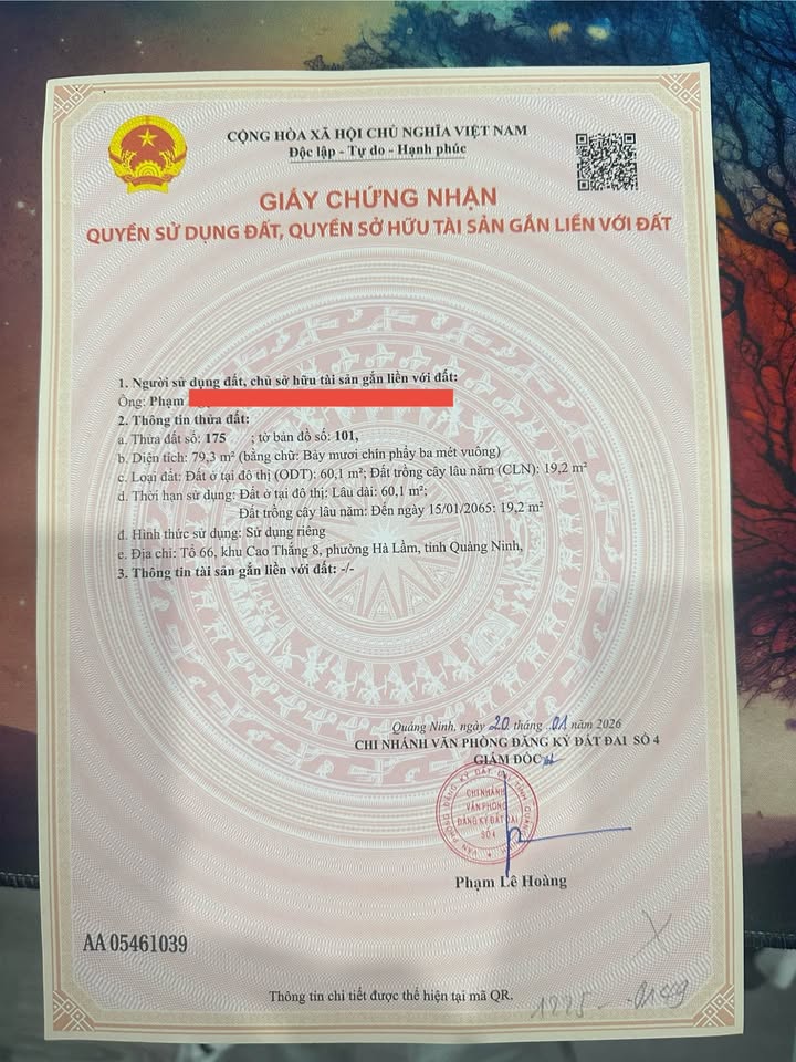 Đất nền Phường Cao Thắng, Hạ Long 80m² giá 2.4 tỷ - Vị trí đắc địa cho đầu tư!