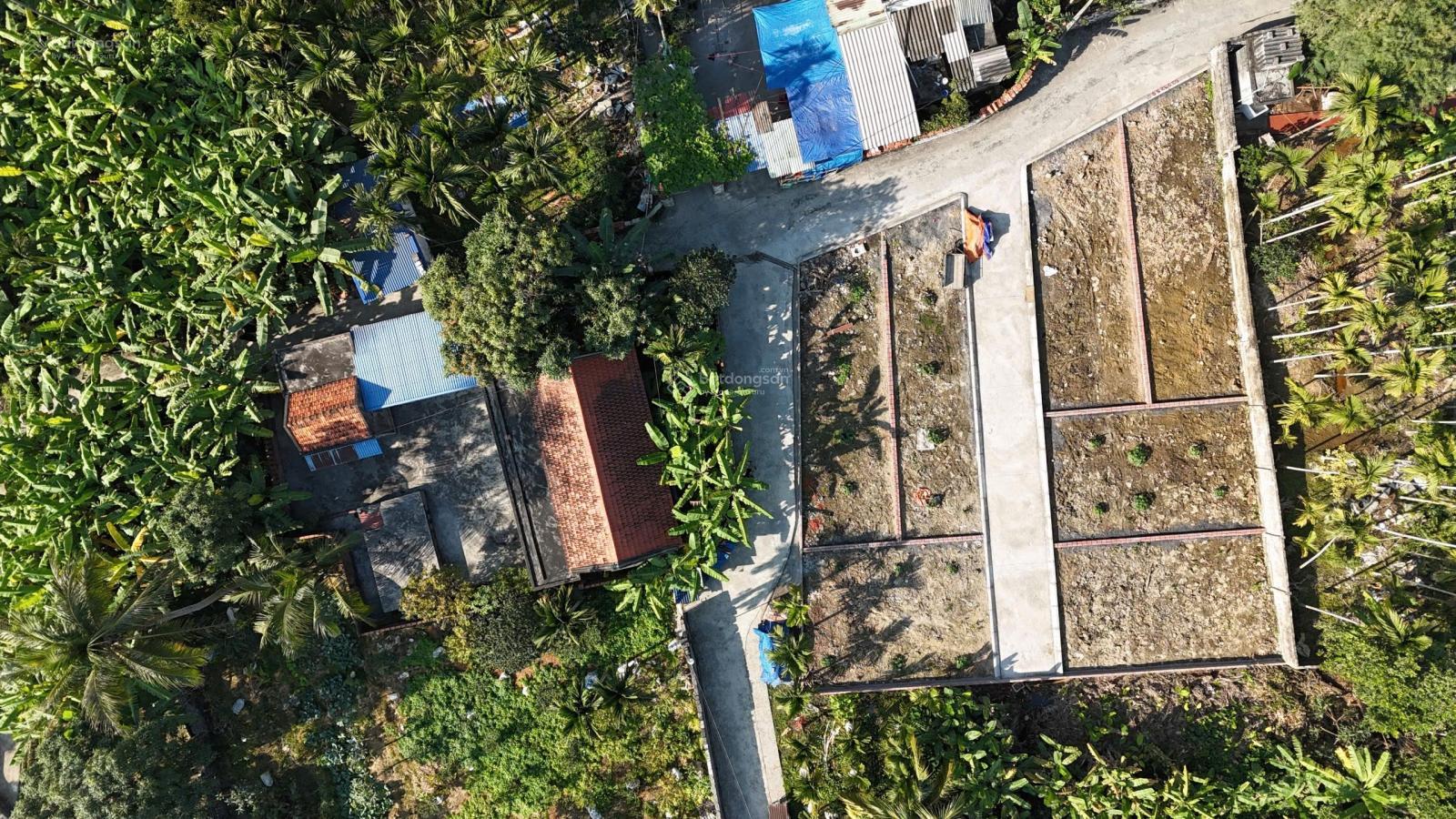 Đất nền Minh Tân, Thủy Nguyên, 60m² giá chỉ 650 triệu - Đầu tư sinh lời!