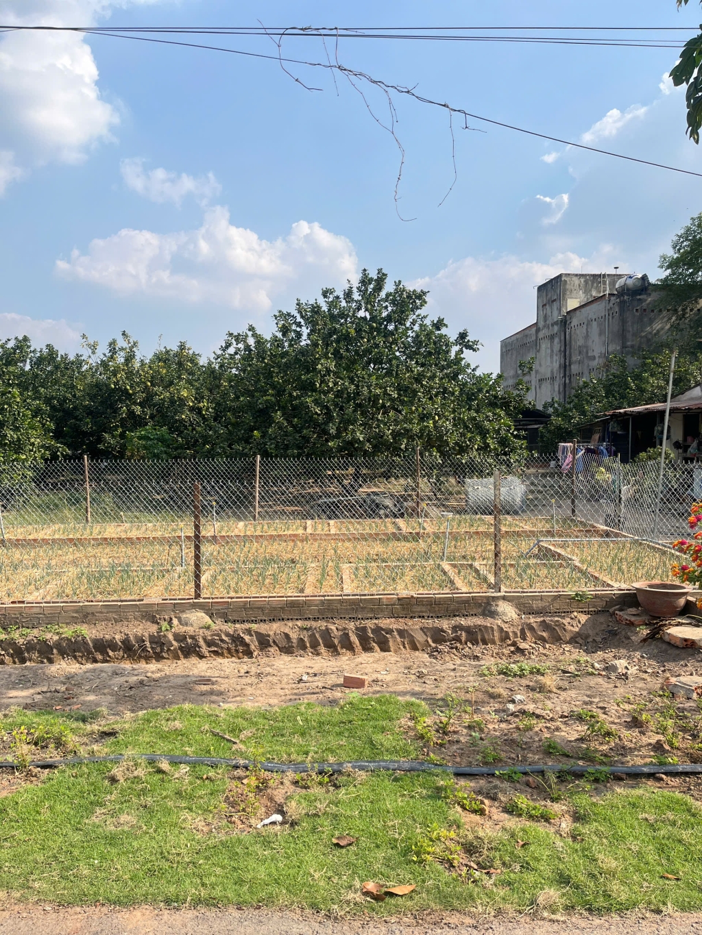 Đất nền Bàu Bàng 200m² giá 500 triệu - Mặt tiền đường nhựa 12m