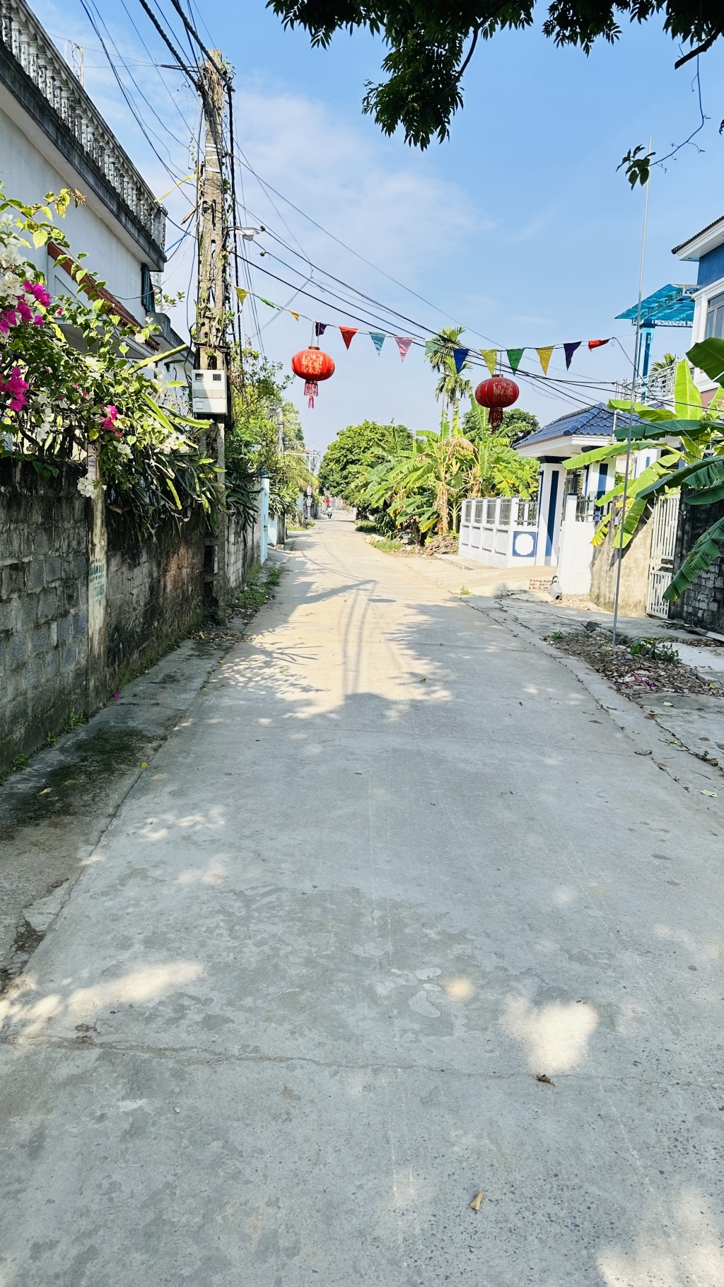 Đất nền Tứ Kỳ 65m² giá 1.3 tỷ - Đầu tư sinh lời ngay!