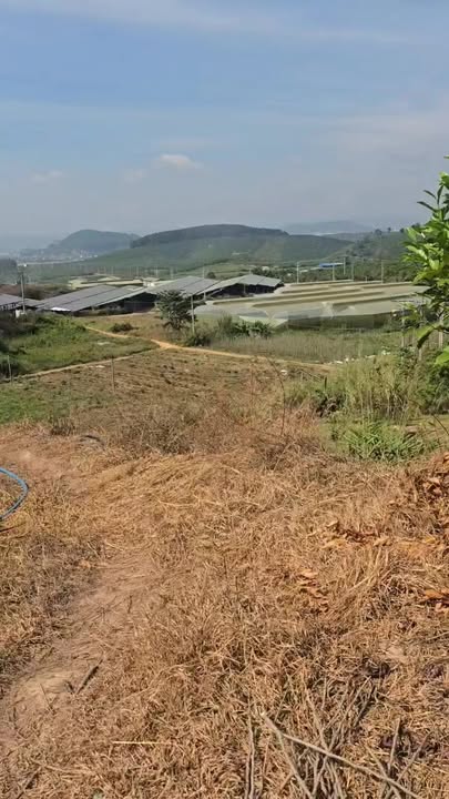 Đất Farm Thị Trấn Đinh Văn 1800m² giá 850 triệu - Cơ hội đầu tư tuyệt vời!