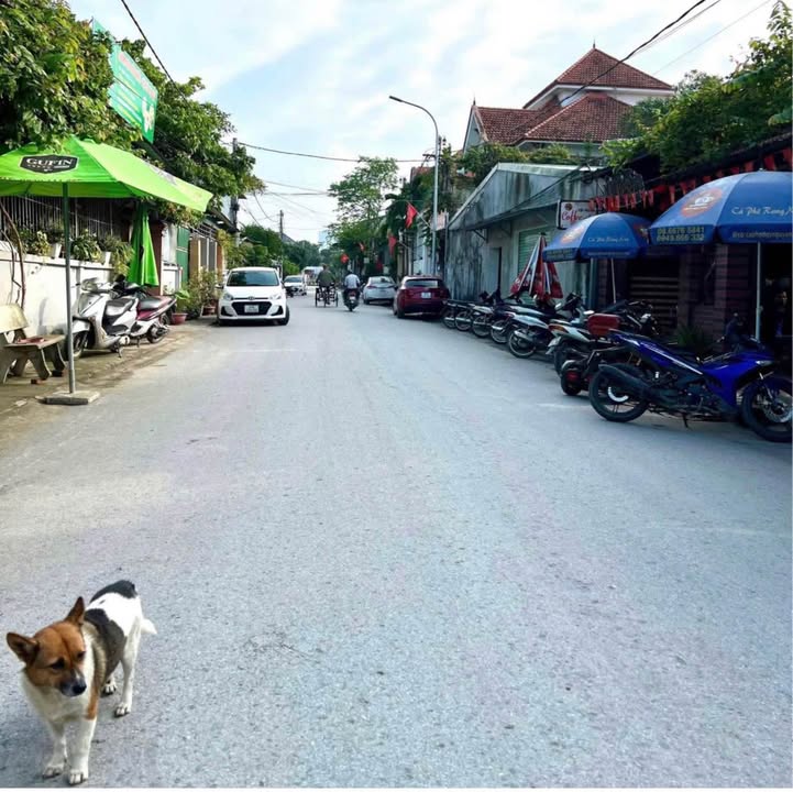 Đất mặt tiền đường Hồ Phi Tích, 94m² giá 3 tỷ - Đầu tư sinh lời ngay!