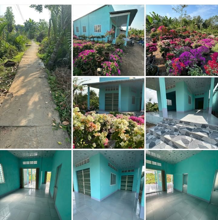 Đất nền đường Đan 1,2, Giồng Trôm 985m² giá chỉ 640 triệu - Cơ hội đầu tư tuyệt vời!