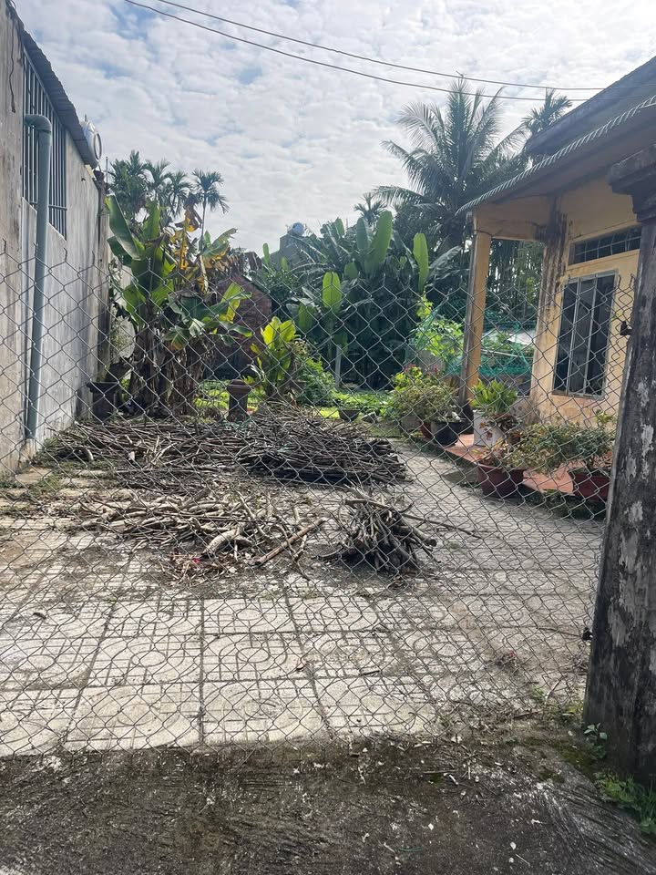 Đất nền Tịnh Sơn 125m² giá 700 triệu - Cơ hội đầu tư tuyệt vời!