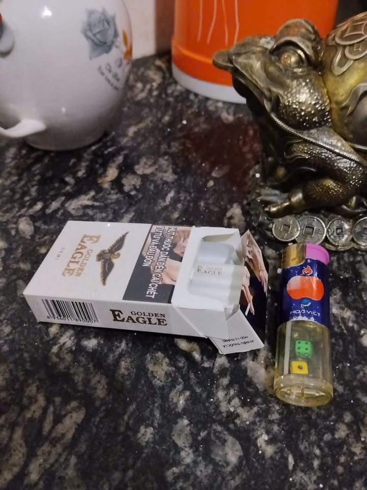 Đất nền Cam Phúc Bắc 100m² giá 800 triệu - Đầu tư sinh lời hấp dẫn!