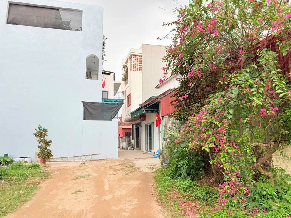 Đất nền Phường An Tảo, TP Hưng Yên 47.5m² giá 1.2 tỷ - Cơ hội đầu tư tuyệt vời!