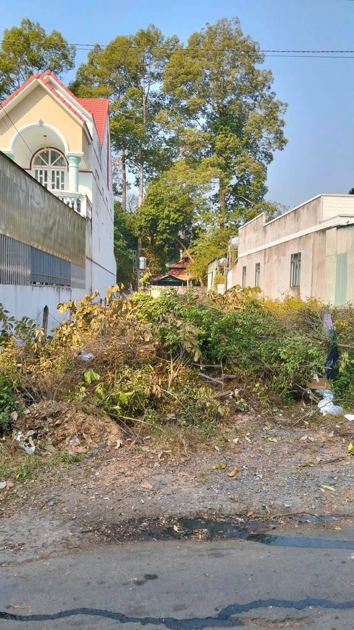 Đất nền mặt tiền Đx 130, Phường Tân An, 265m² giá 2.5 tỷ - Đầu tư sinh lời ngay!