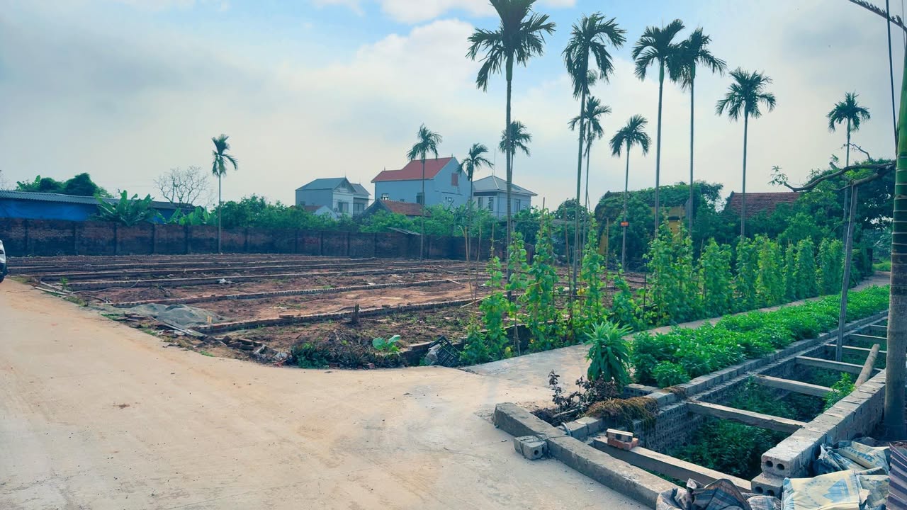 Đất nền Đông Tảo, Khoái Châu 72,6m² giá 2 tỷ - Tiềm năng đầu tư cực lớn!