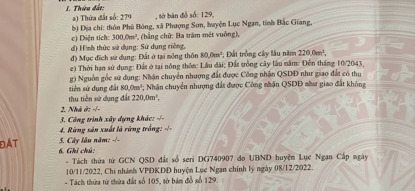 Đất nền 300m² Phú Bòng, Lục Ngạn chỉ 400 triệu - Cơ hội đầu tư tuyệt vời!