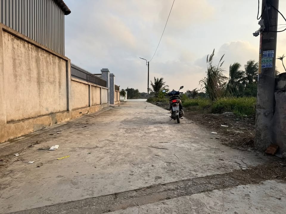 Đất nền Tân Hưng, Vĩnh Bảo 100m² giá chỉ 800 triệu - Đầu tư sinh lời cao!