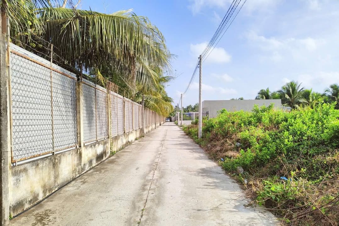 Đất nền Sơn Đông Bến Tre 140,9m² giá chỉ 1,6 tỷ - Đầu tư sinh lời lý tưởng!