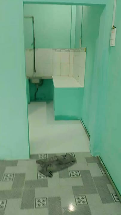 Nhà riêng xã Phú Hòa Đông 40m² giá 750 triệu - Khu dân cư hiện hữu